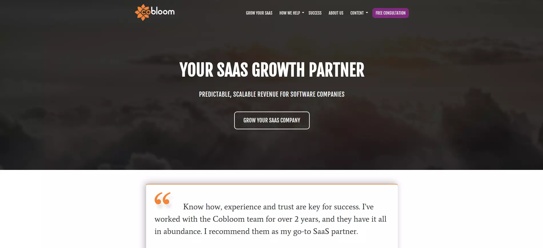 Маркетинговый блог SaaS Cobloom