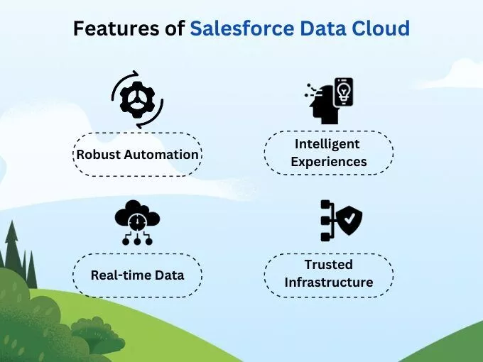Salesforce Data Cloud'un Özellikleri