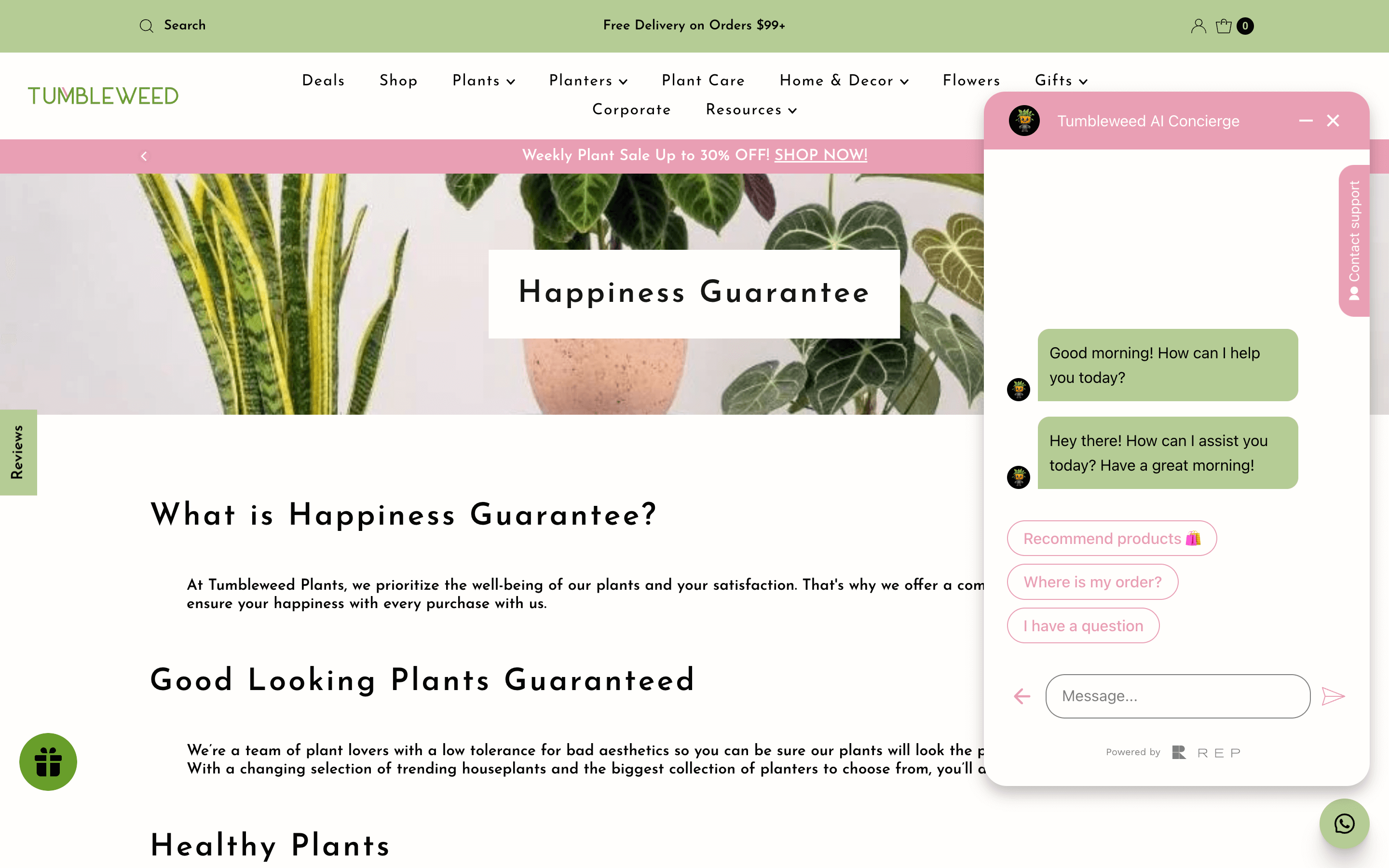 Uno screenshot dalla pagina del sito Web di Tumbleweed per la sua garanzia di felicità. Il testo dice: cos'è la garanzia della felicità? In Tumbleweed Plants, diamo la priorità al benessere delle nostre piante e alla tua soddisfazione. Ecco perché offriamo una garanzia completa per garantire la tua felicità con ogni acquisto con noi. Piante di bell'aspetto garantite Siamo un team di amanti delle piante con una bassa tolleranza per la cattiva estetica, quindi puoi essere certo che le nostre piante sembreranno la parte. Con una selezione mutevole di piante d'appartamento di tendenza e la più grande collezione di fioriere tra cui scegliere, troverai sempre qualcosa che ami. C'è anche una finestra pop-up sul lato destro della pagina che mostra la sua live chat AI. Il bot ha scritto: Buongiorno! come posso aiutarti oggi? Ci sono 3 risposte suggerite: Prodotti consigliati, Dov'è il mio ordine? e ho una domanda.