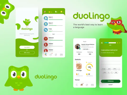 aplicația de învățare a limbilor străine duolingo