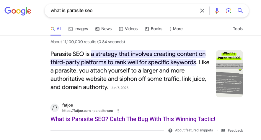 FATJOE — избранный сниппет для What Is Parasite SEO