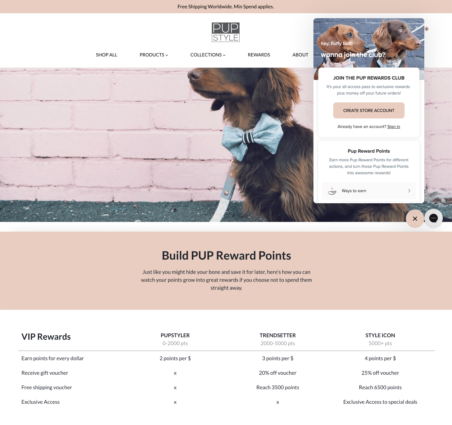 Ein Screenshot der Erläuterungsseite zum Prämienprogramm von PUP Style mit den VIP-Stufen. Es gibt drei Stufen: Pupstyler, Trendsetter und Style Icon sowie eine Tabelle, die die verschiedenen Vorteile jeder Stufe zeigt.