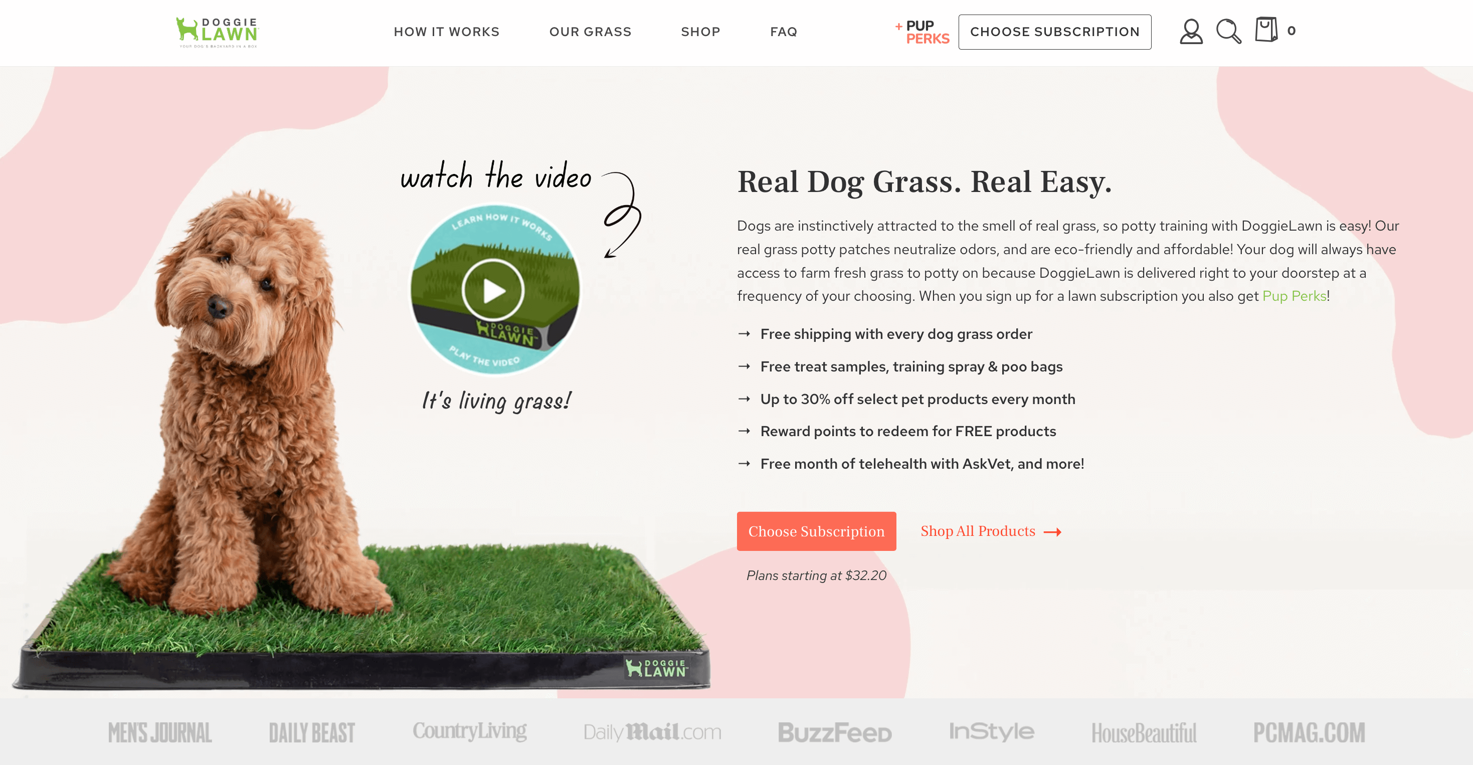 Ein Screenshot der Homepage von DoggieLawn mit einer Erklärung seiner echten Grasflächen für Hunde. Neben einer Produktbeschreibung mit dem Titel „Real Dog Grass, Real Easy“ ist ein Bild eines goldenen Kritzelhundes zu sehen, der auf einer Grasfläche sitzt. Es gibt auch einen Link zu einem Video, das die Funktionsweise des Produkts erklärt.