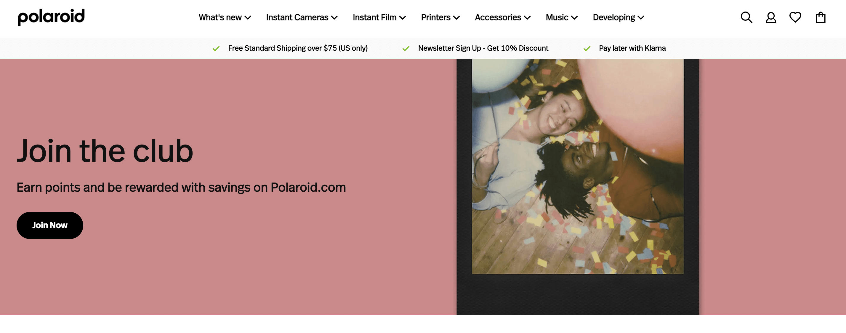 captură de ecran a paginii de pornire a site-ului polaroid