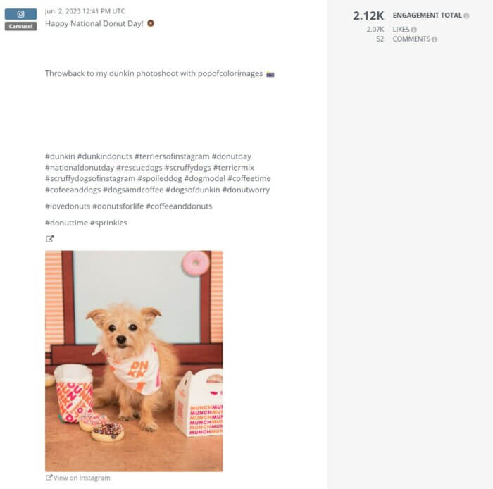 Waffles ist in diesem Beitrag mit Dunkin-Klamotten geschmückt und wünscht seinen Followern einen schönen nationalen Donut-Tag, der über 2.000 Likes gesammelt hat.