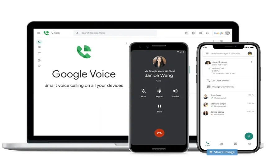 Vizualizare Google Voice mobil și desktop