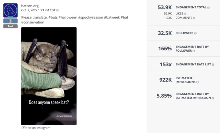 องค์กรไม่แสวงผลกำไรชั้นนำใน Reel ของ Instagram Bat Conservation International มีภาพขนาดย่อพร้อมรูปค้างคาวและคำบรรยายว่า "มีใครพูดค้างคาวบ้างไหม"