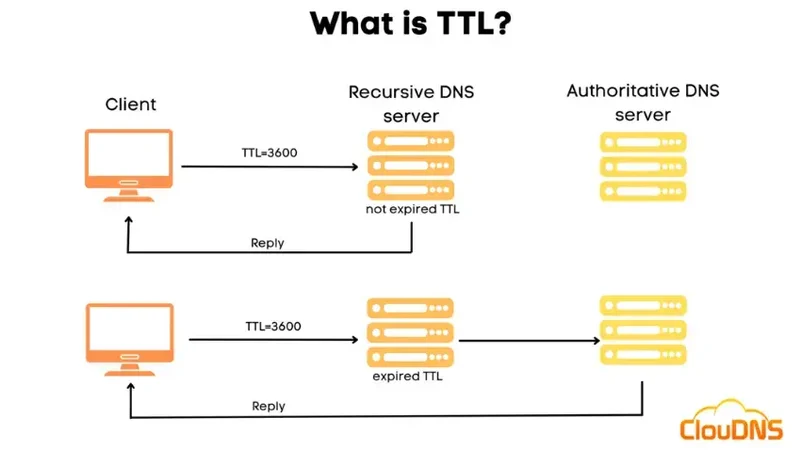 TTLとは何ですか