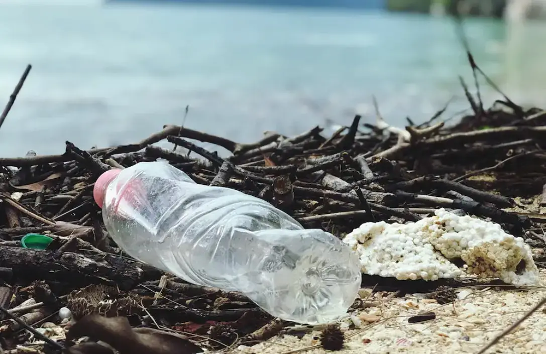 kıyı şeridindeki plastik atık