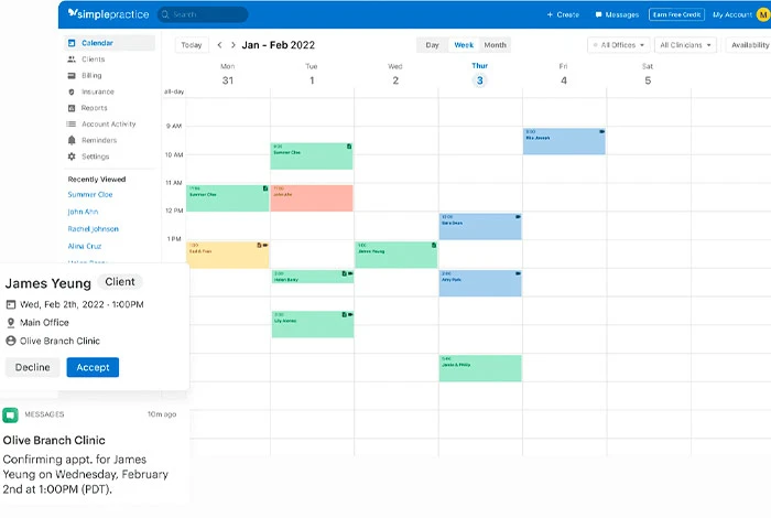 Painel do software SimplePractice