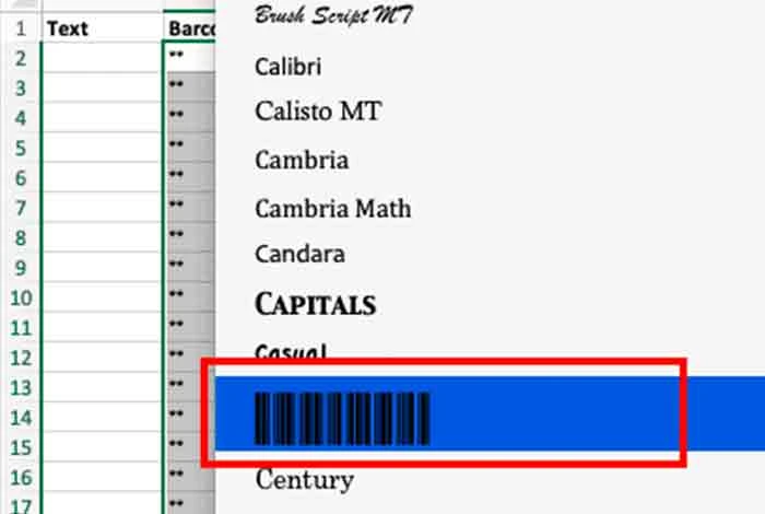 obtenha o tipo de fonte necessário