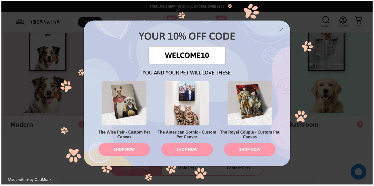 Il popup segmentale di Crown and Paw ha fornito consigli personalizzati e un codice sconto ai visitatori