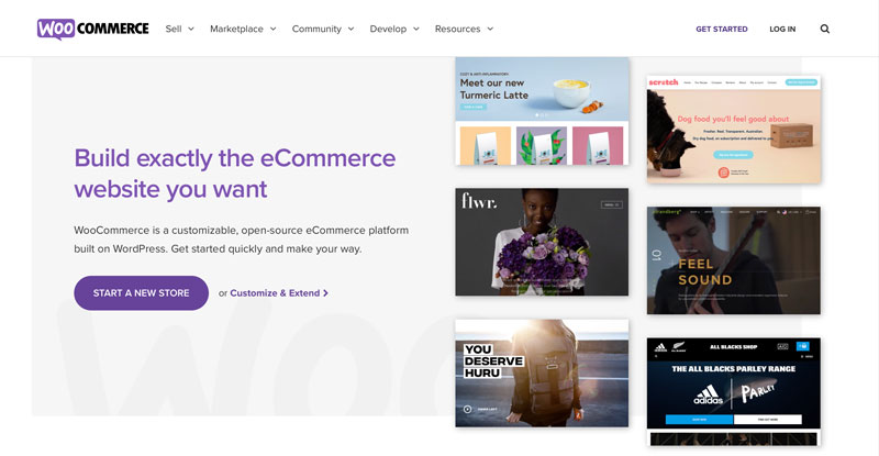 A screenshot of the WooCommerce Homepage