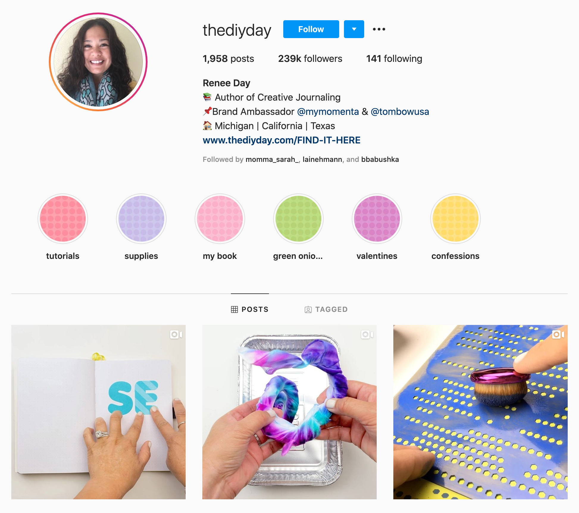 رينيه داي المؤثر DIY