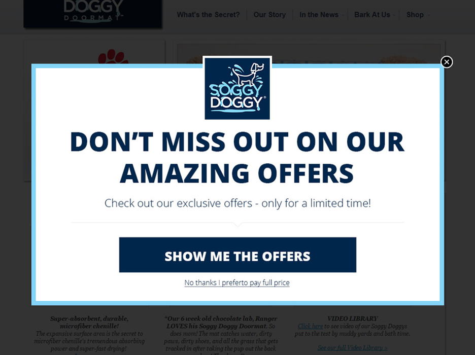 sales promotion examples 14 - 19 Discount Popup Examples to Elevate Your Sales Promotion