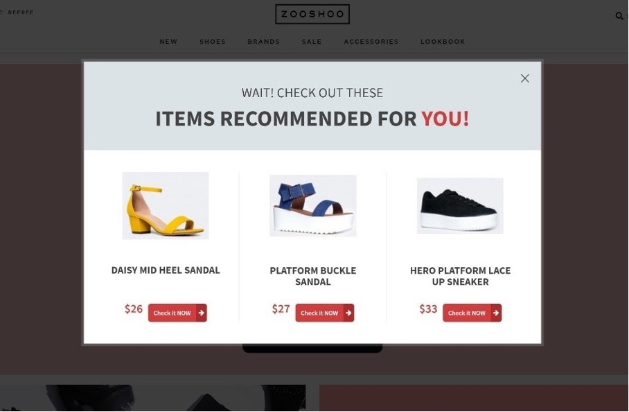 8 types of popups 07 - 8 Types of Popups Every Ecommerce Store Should Have