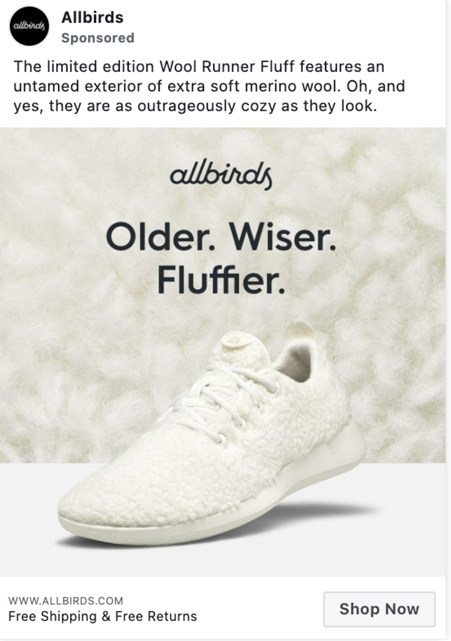 allbirds 12 - How Allbirds Went from a Small Startup to a Billion-dollar Sneaker Brand in 4 Years