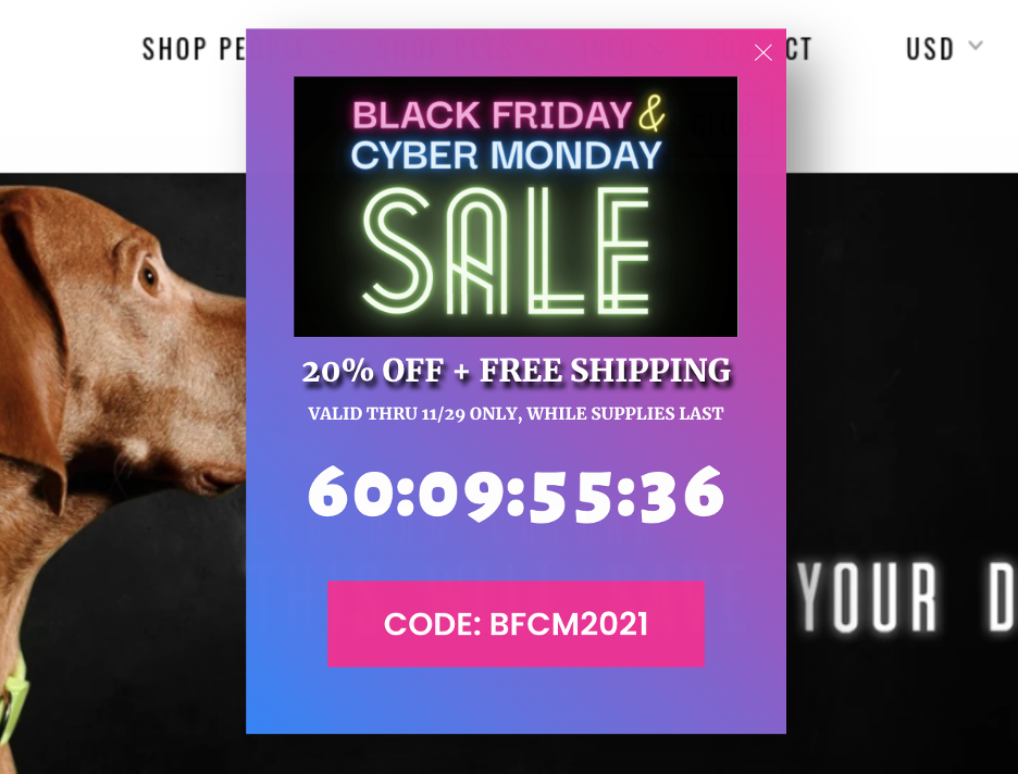 black friday popup 04 - 12 Black Friday Popup Examples to Promote Your Sale