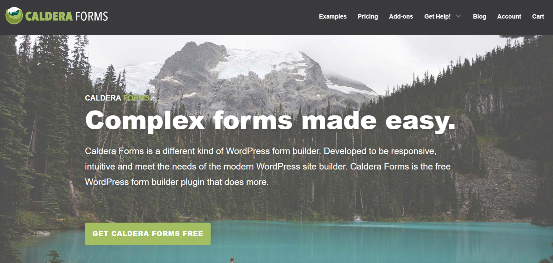 Caldera Forms - What’s the Best WordPress Form Plugin? We’ll Help You Find It!