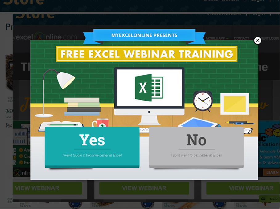 myexcel training - 12 Awesome Lead Magnets for Ecommerce to Grow Your Revenue