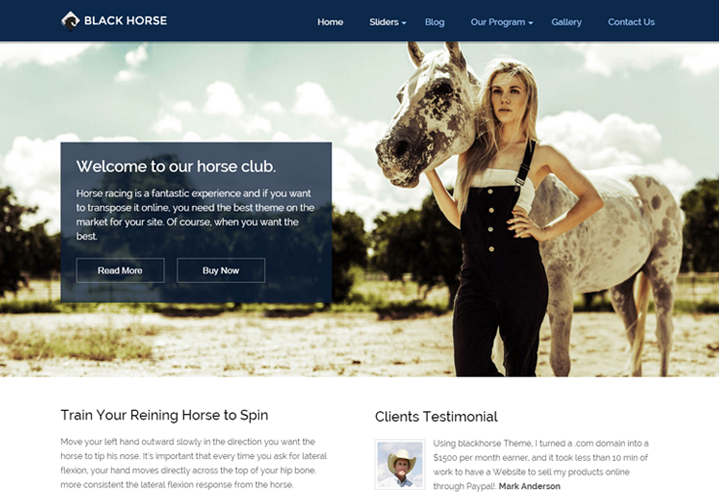 Tema WordPress Untuk Penunggang Kuda
