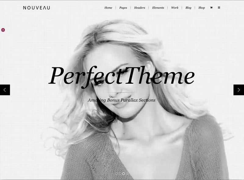 Tema WordPress Nouveau Fashion