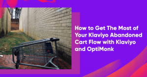 how to get the most of your klaviyo abandoned cart flow 300x157 - Top DTC Brands to Watch Out For in 2022