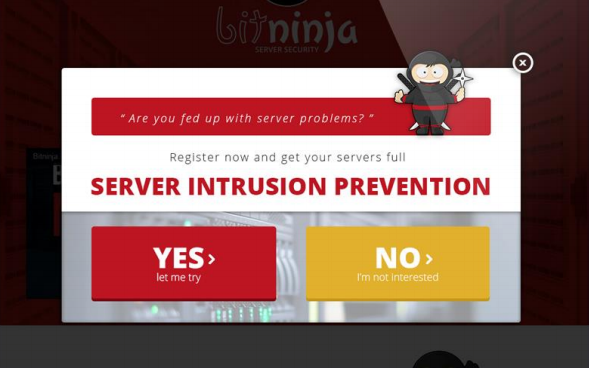 BitNinja - 5 Popup Case Studies that Showcase the Power of Overlays