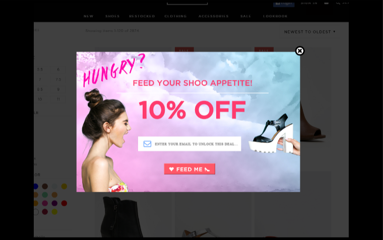 ZooShoo - 5 Popup Case Studies that Showcase the Power of Overlays