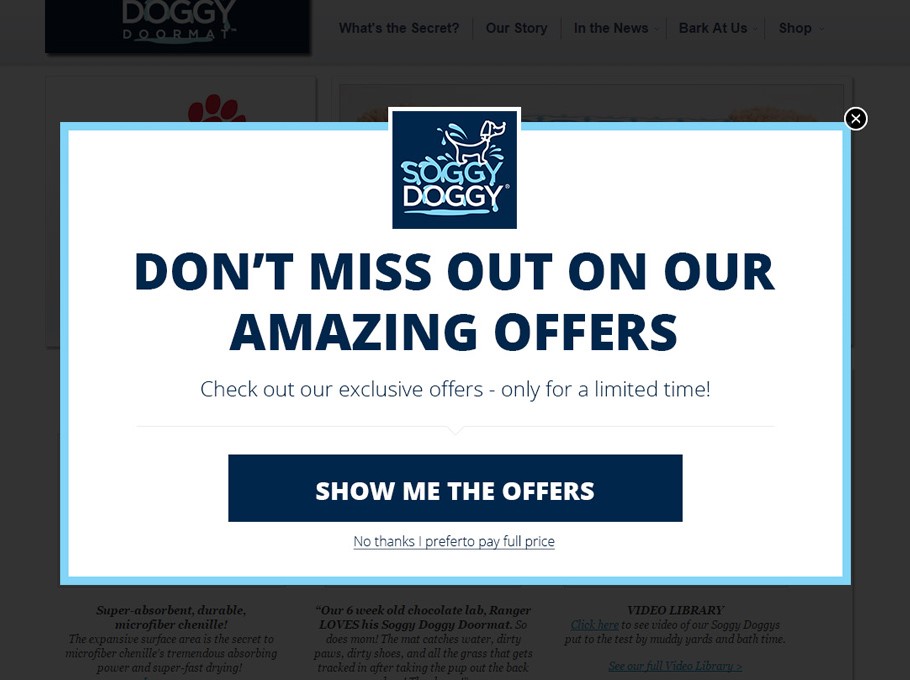 08 drive sales - How to Use Popups: A Pop up  Best Practices Toolkit