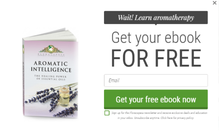 free ebbok 2 - How Floracopeia gained 47,336 leads & $130,000 extra revenue