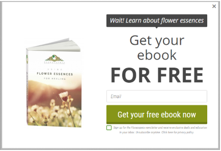 free ebook 1 - How Floracopeia gained 47,336 leads & $130,000 extra revenue