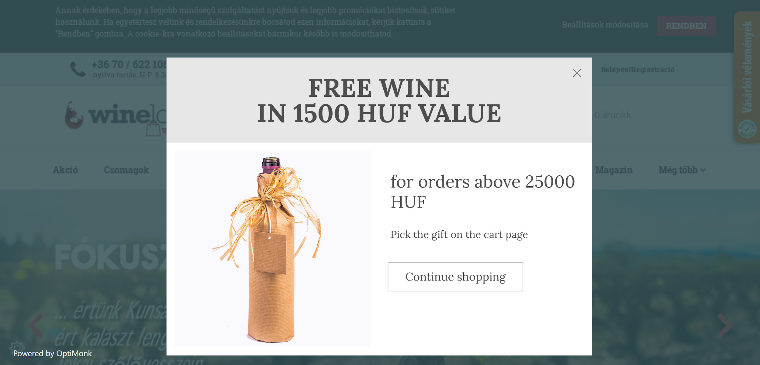 winelovers 2 en - How Did Winelovers Webshop Increase AOV of Its Wine by 130%