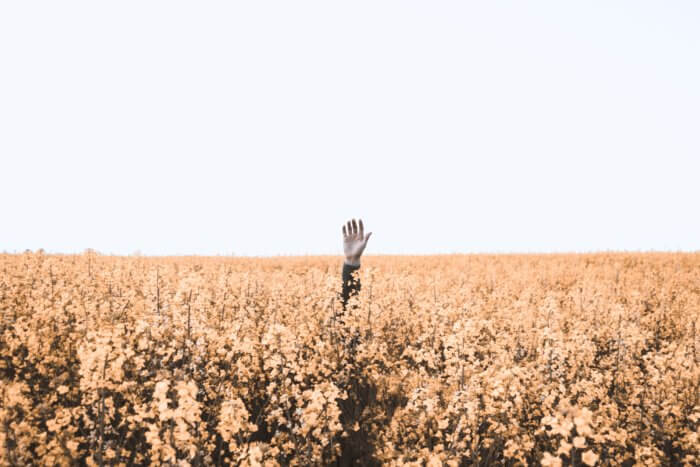 Il braccio di un uomo che si alza da un campo di grano o un mare di errori di dati!