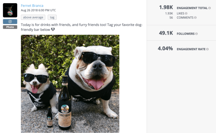 Deux chiens à côté d'une bouteille de Fernet