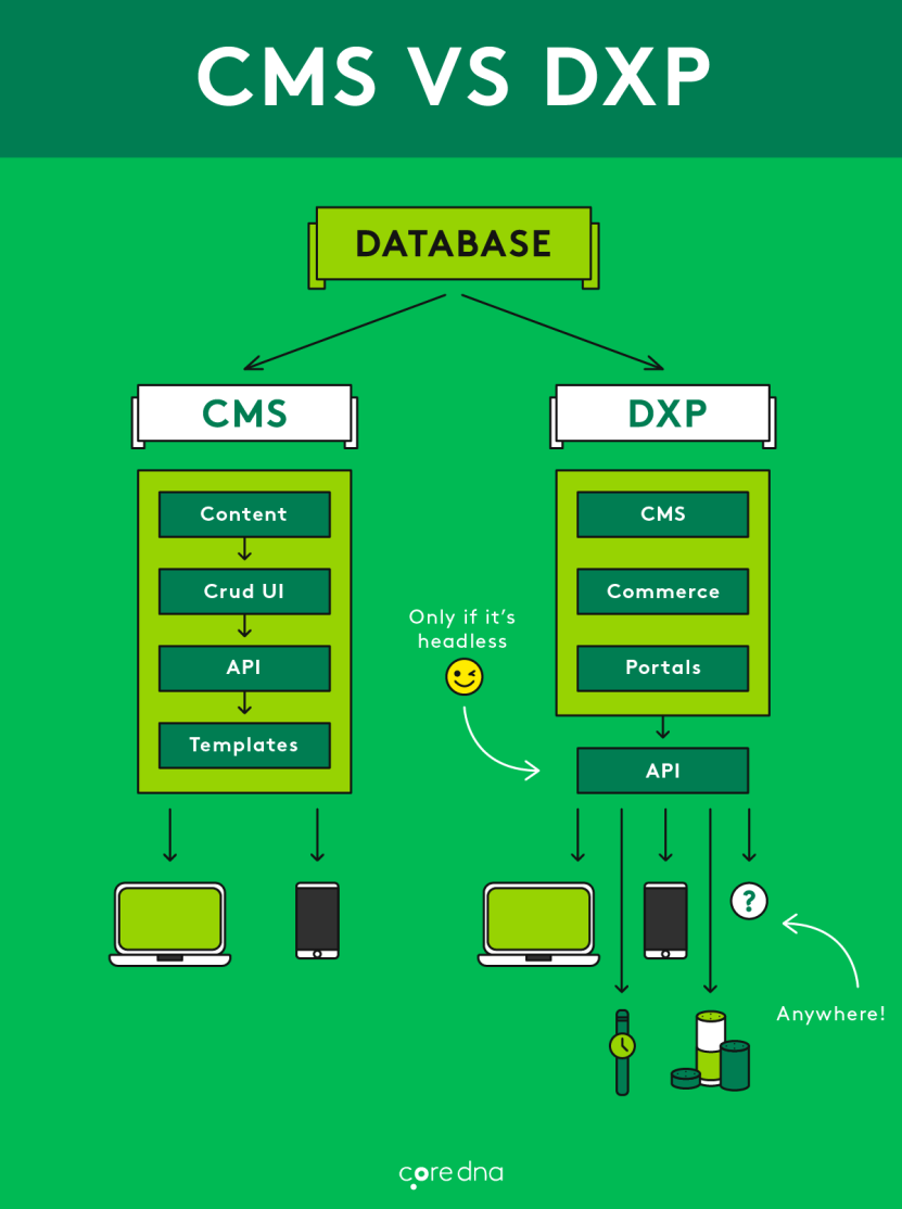 Infografis DXP vs CMS