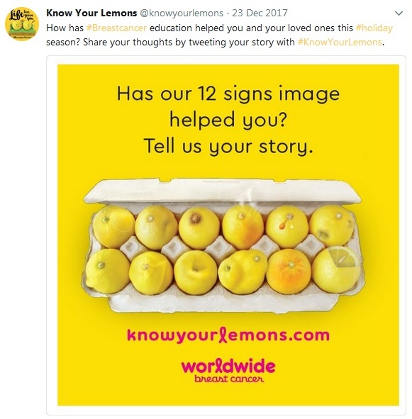 Conoce tus limones Campañas de marketing en redes sociales