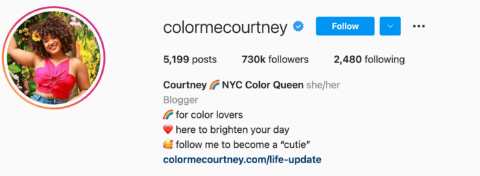 vColor me Courtney Instagram bio