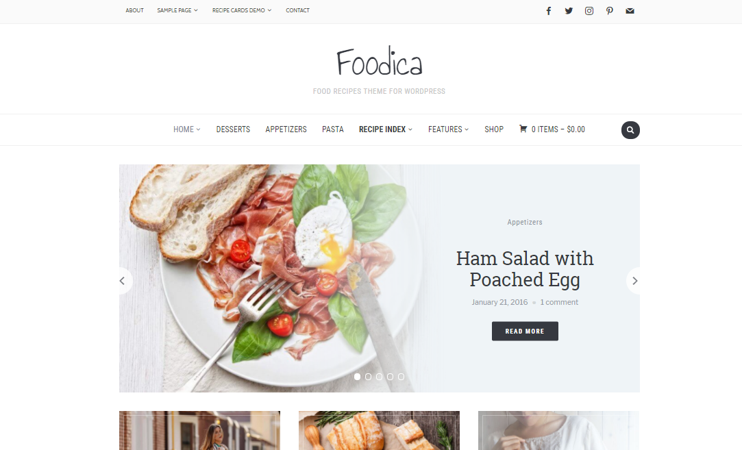 wpzoom-themes-foodica