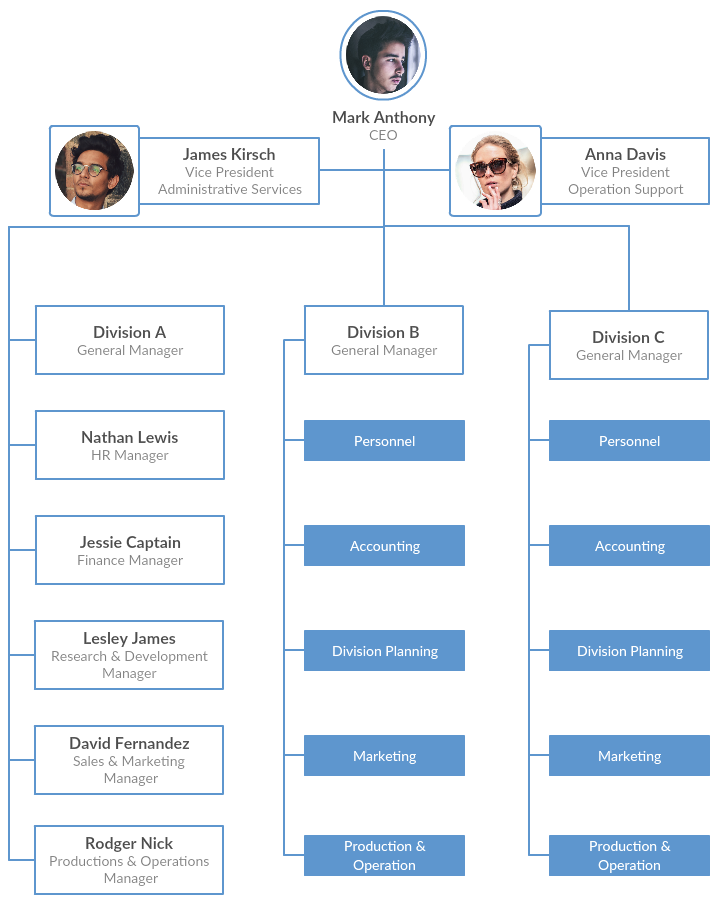 Estructura organizativa divisional