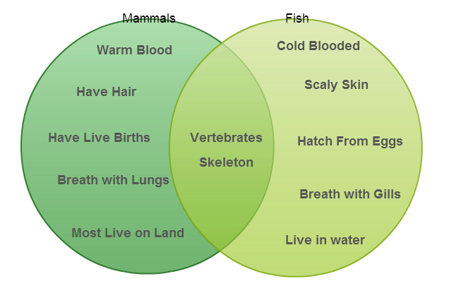 diagrama de comparación de venn