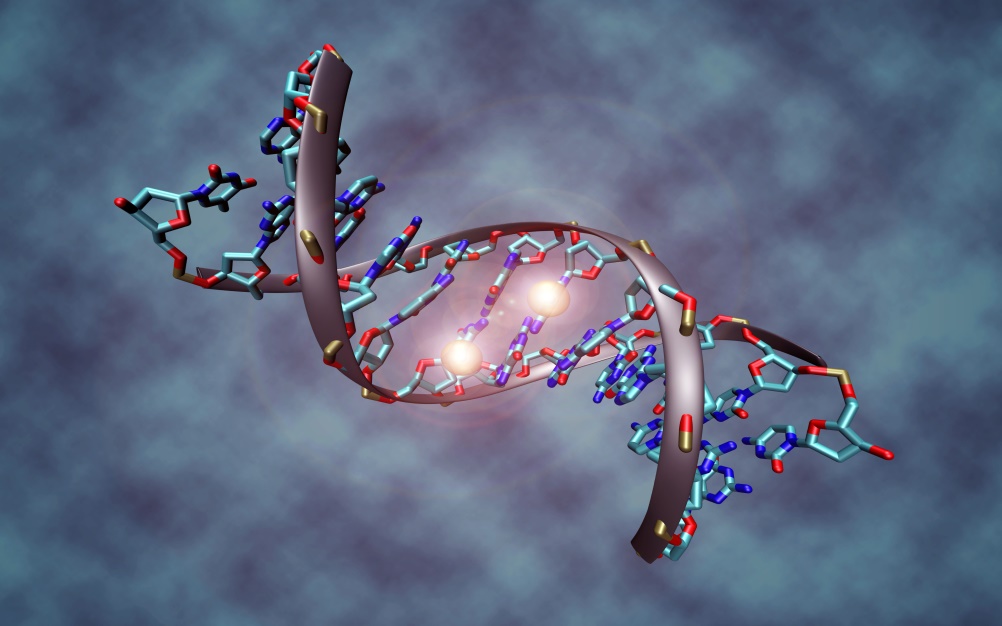 Sei geneticamente predisposto a diventare un imprenditore