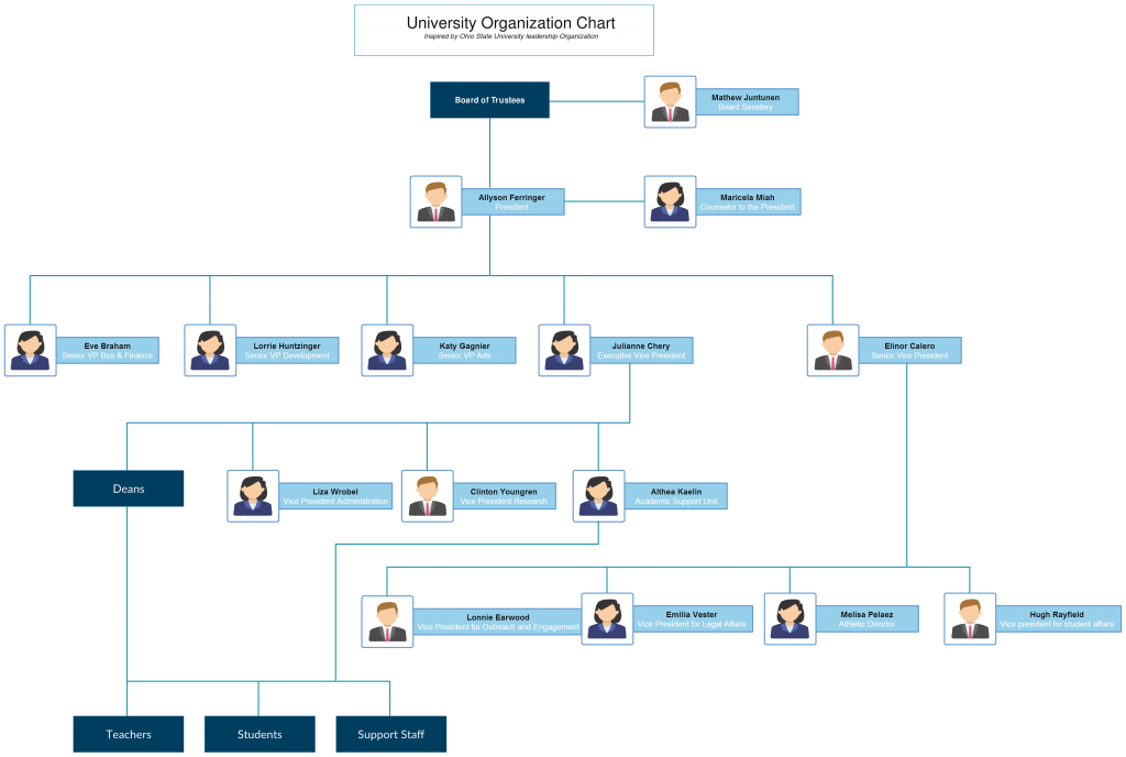 Modello di organigramma per l'università