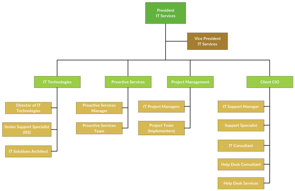 Plantilla de organigrama para empresa de TI