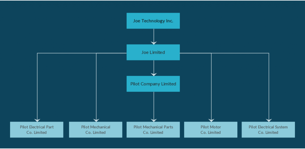 Plantilla de organigrama para la estructura de la empresa holding