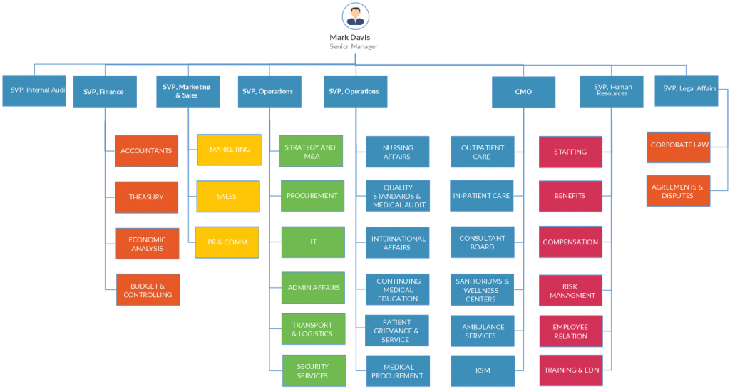 Modello di organigramma per ospedale