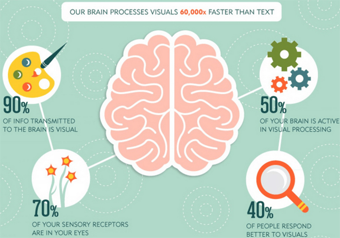 Cómo nuestro cerebro procesa las imágenes