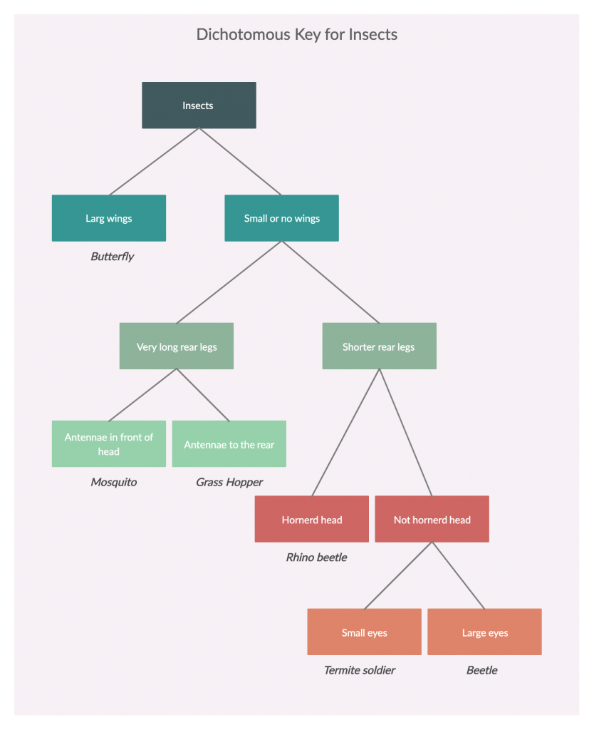 Dichotomous Key สำหรับแมลง Dichotomous Key คืออะไร