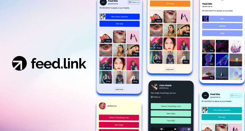 Link do TikTok na ferramenta de bio Feedlink