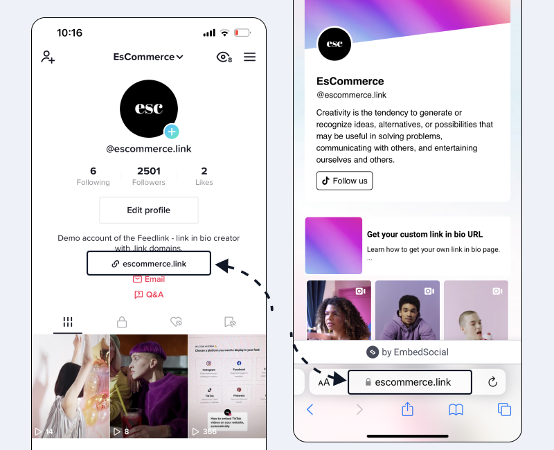 adicione o link do TikTok ao domínio do link personalizado